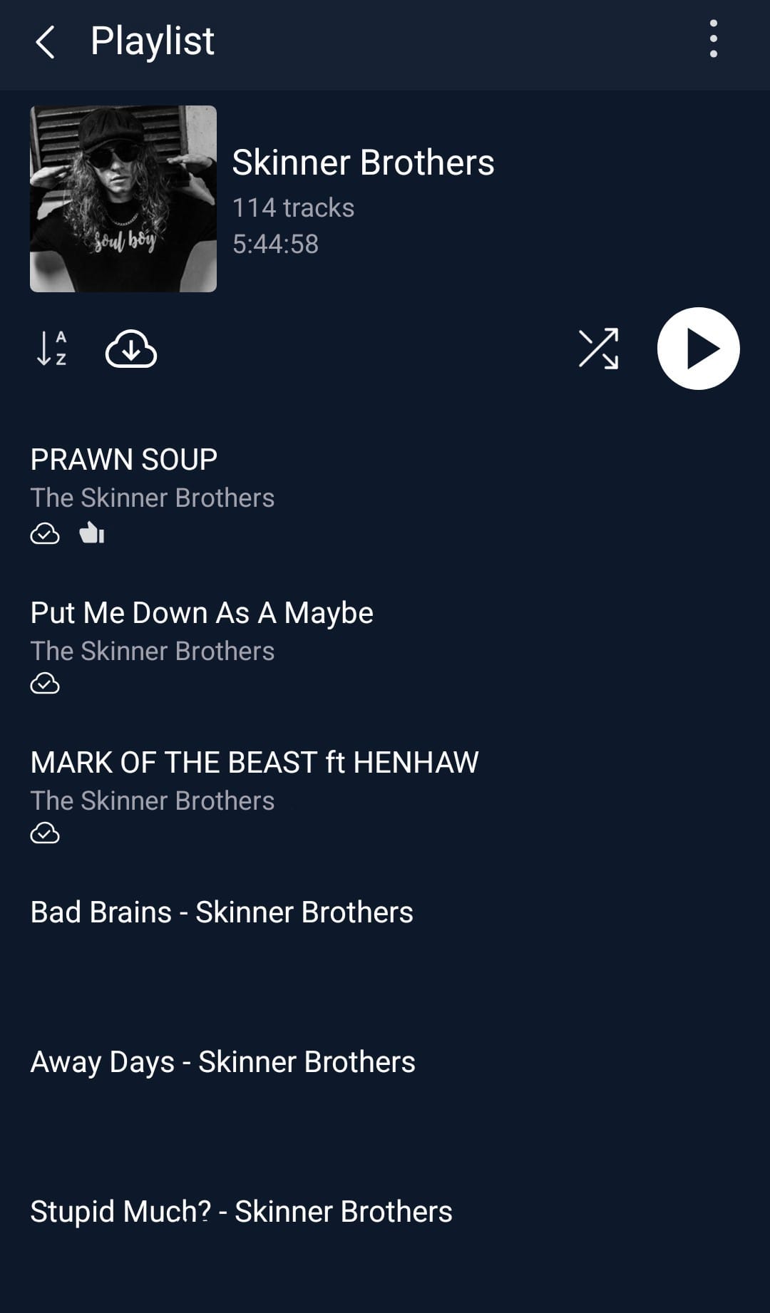 A screenshot of a playlist containing 114 Skinner Brothers songs.