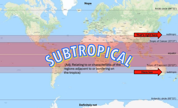 Song of the Week: Subtropical